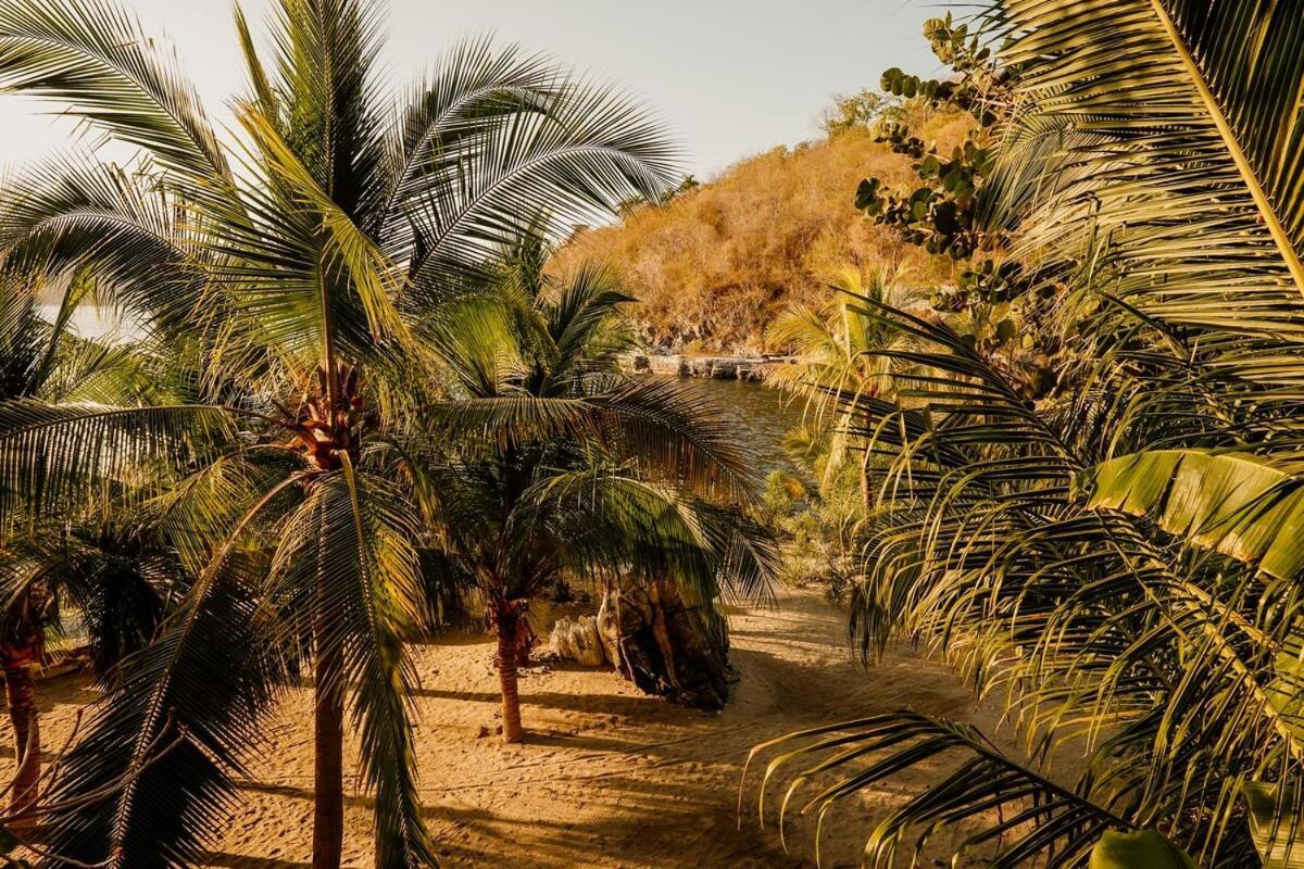 Dream Villa With Private Beach And Catering Zihuatanejo Exterior photo
