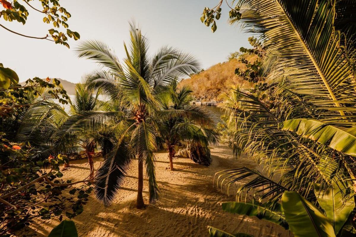 Dream Villa With Private Beach And Catering Zihuatanejo Exterior photo